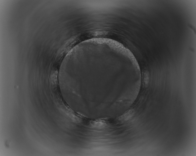 X0000103310475200809261341