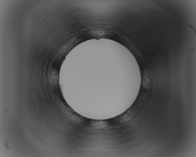 X0000103310476200809261341