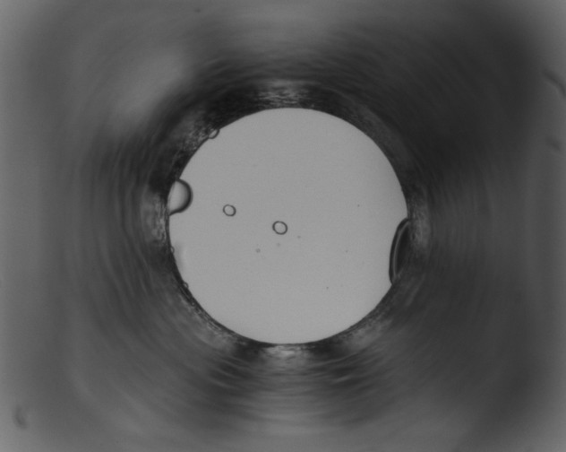 X0000103310477200809261341