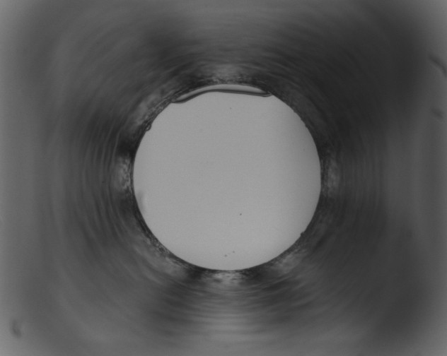 X0000103310478200809261341