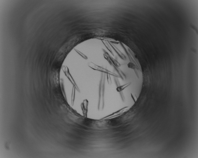 X0000103310479200809261341
