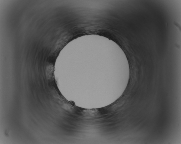 X0000103310480200809261341