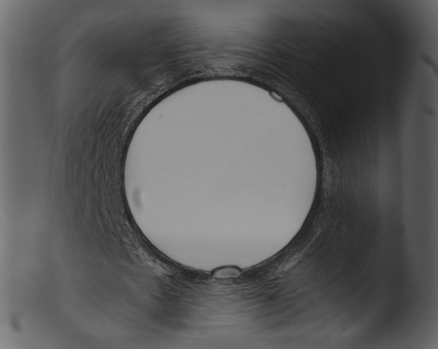 X0000103310481200809261340