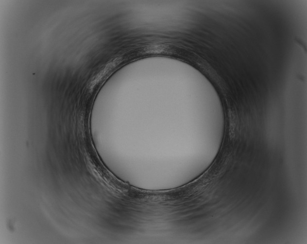 X0000103310482200809261340