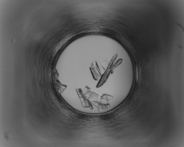 X0000103310483200809261340