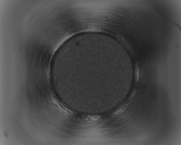 X0000103310484200809261340