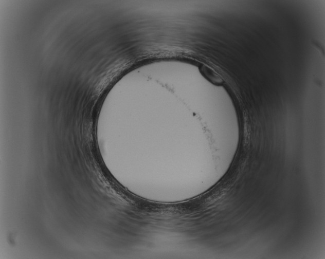 X0000103310485200809261340