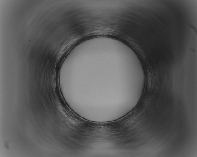 X0000103310486200809261340