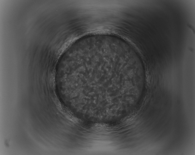 X0000103310487200809261340