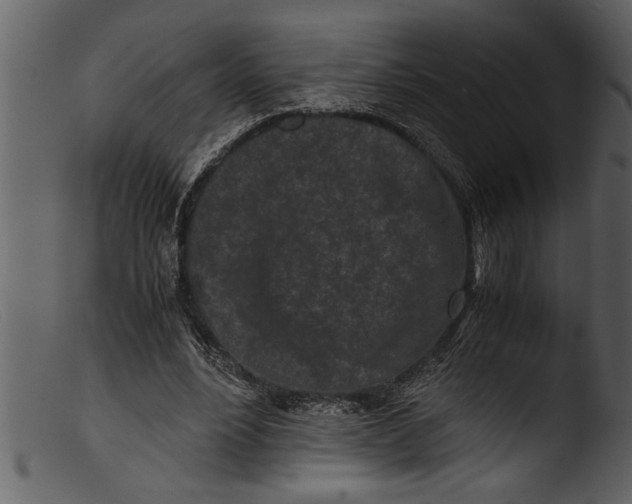 X0000103310488200809261340