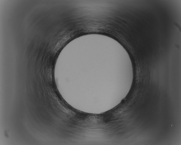 X0000103310489200809261340