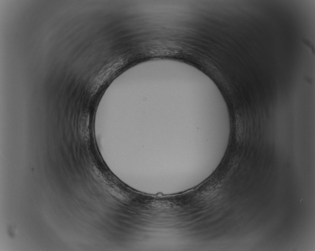 X0000103310490200809261340