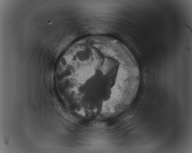 X0000103310491200809261340