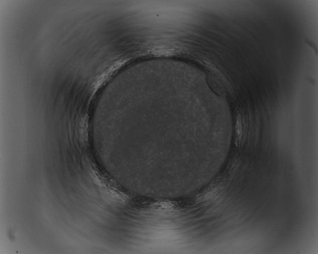 X0000103310492200809261340