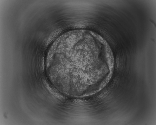 X0000103310494200809261340