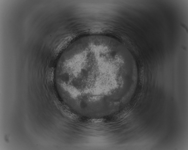 X0000103310495200809261340