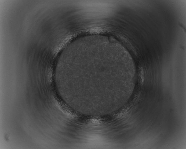 X0000103310496200809261340