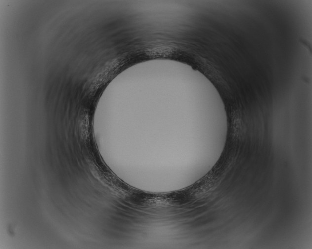 X0000103310498200809261340