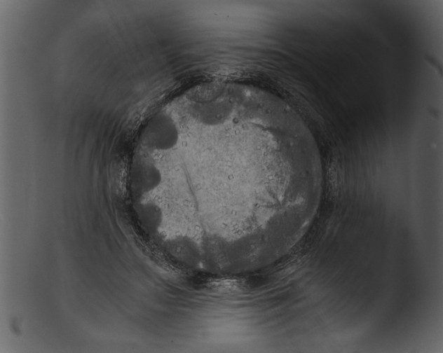 X0000103310499200809261340