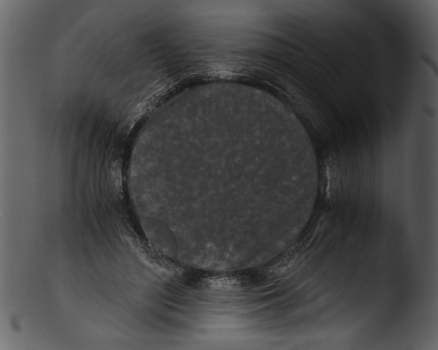 X0000103310500200809261340