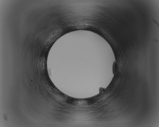 X0000103310501200809261340