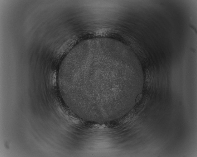 X0000103310502200809261340