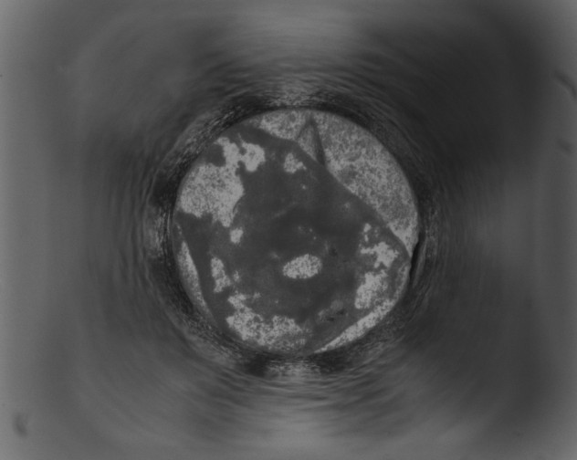 X0000103310503200809261340