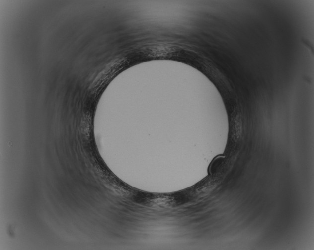 X0000103310505200809261340