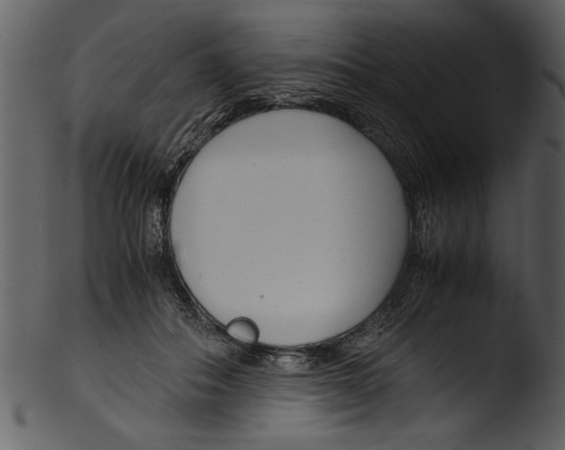 X0000103310506200809261340