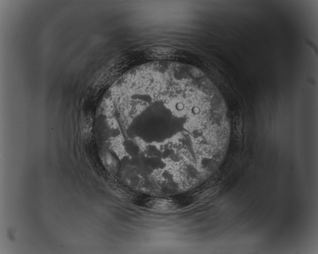 X0000103310507200809261340