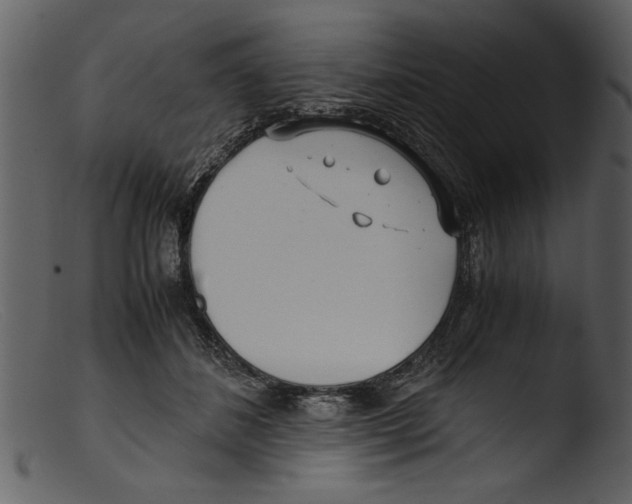 X0000103310508200809261340