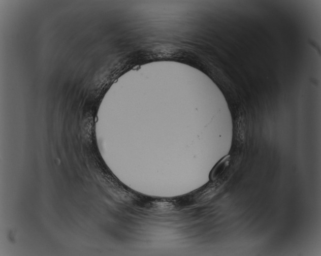 X0000103310509200809261340