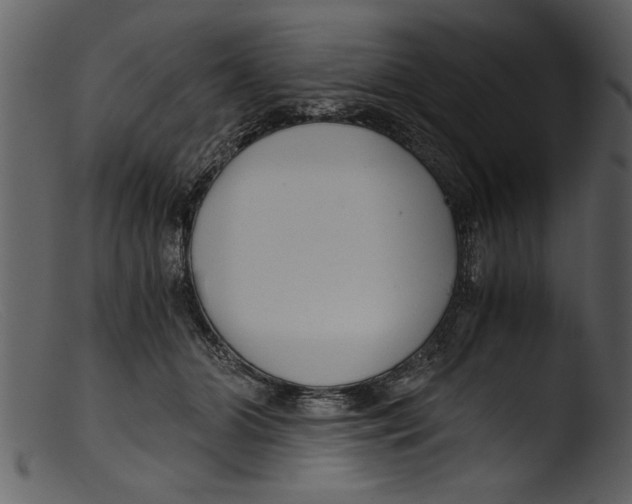 X0000103310510200809261340