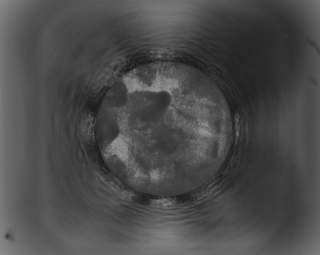 X0000103310511200809261340