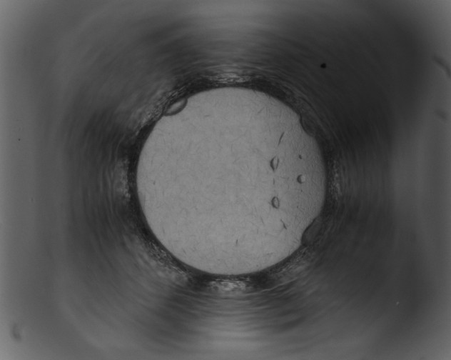 X0000103310512200809261340