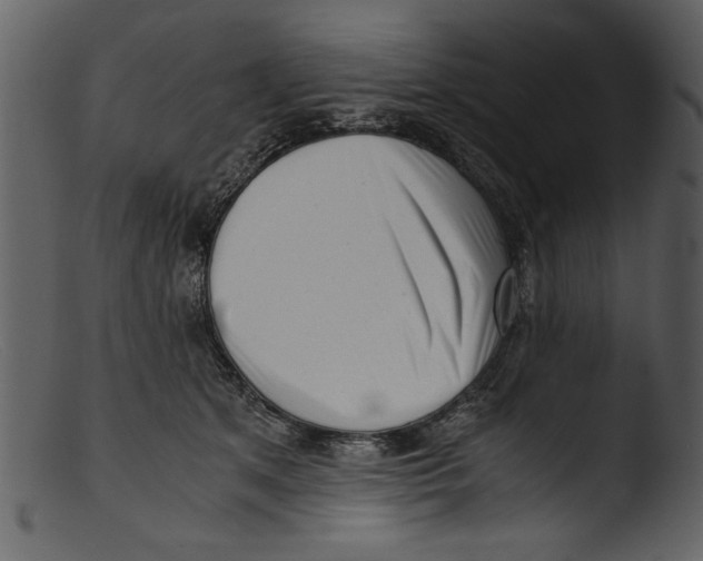 X0000103310513200809261340