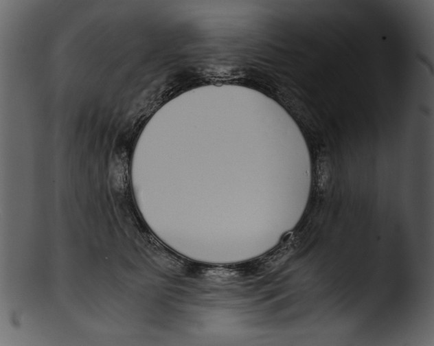 X0000103310515200809261340