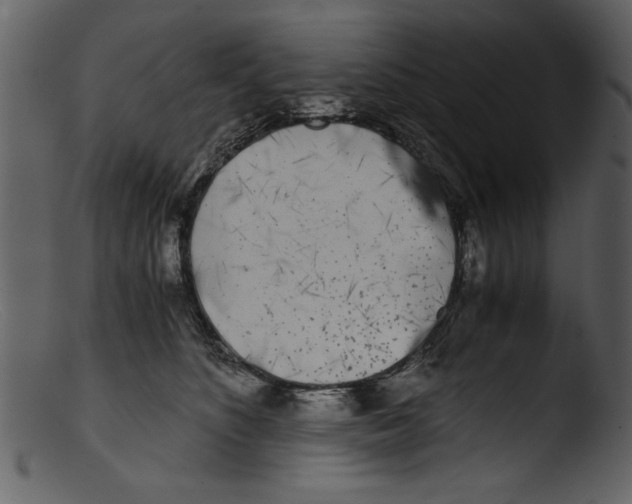 X0000103310516200809261340