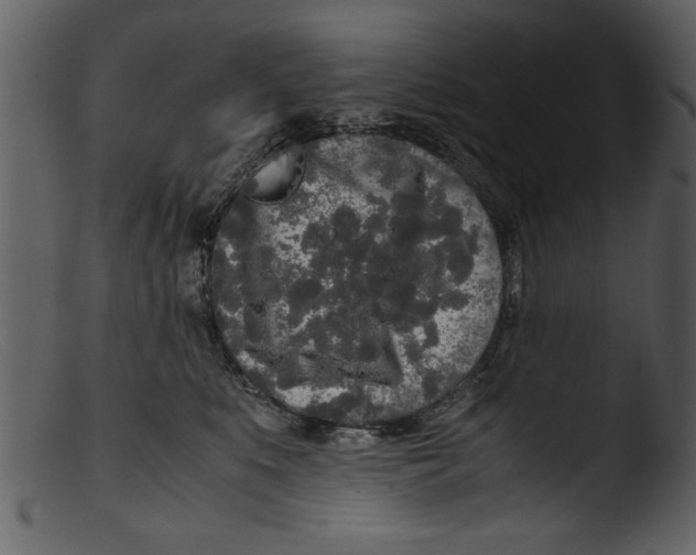 X0000103310519200809261340