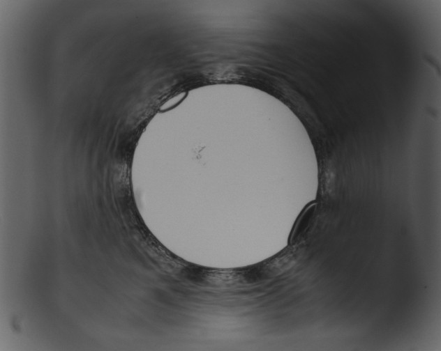 X0000103310521200809261340