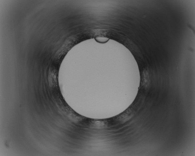 X0000103310522200809261340