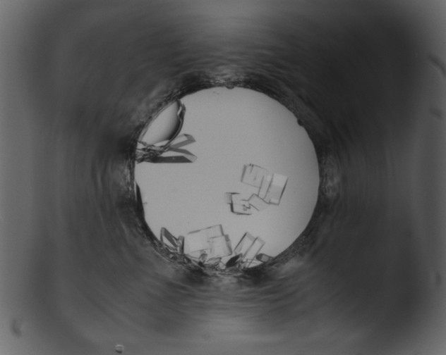 X0000103310523200809261340