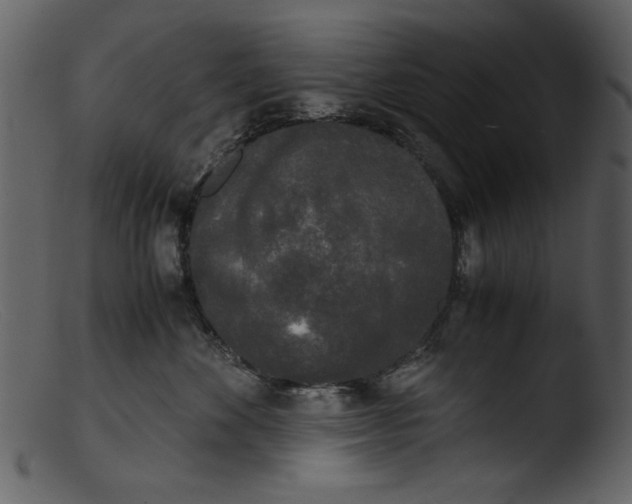 X0000103310524200809261340