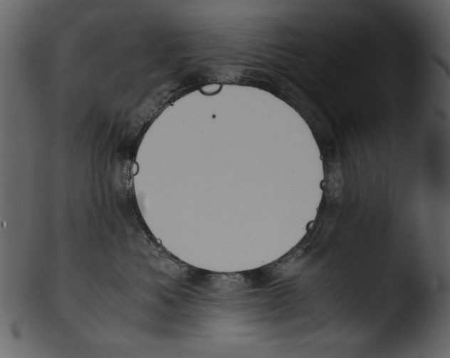 X0000103310525200809261340