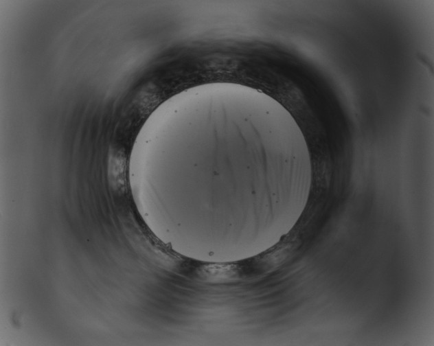 X0000103310526200809261340