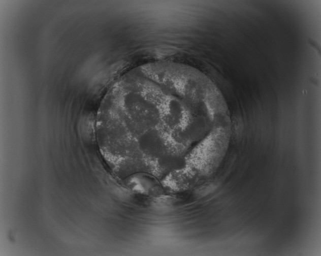 X0000103310527200809261340