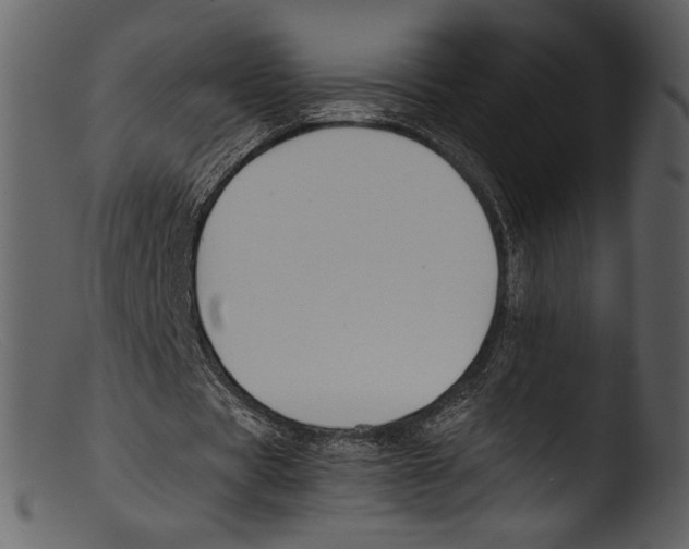 X0000103310529200809261339