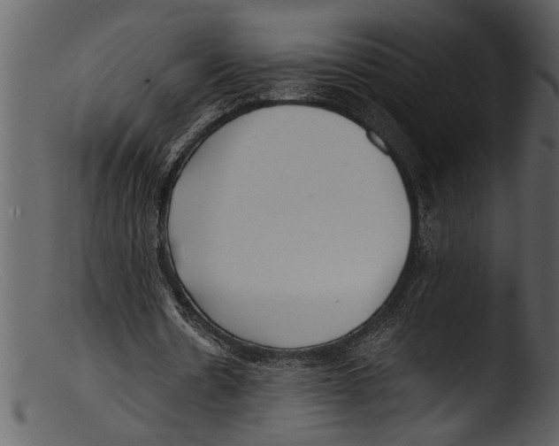 X0000103310530200809261339