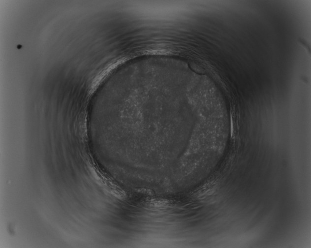 X0000103310531200809261339