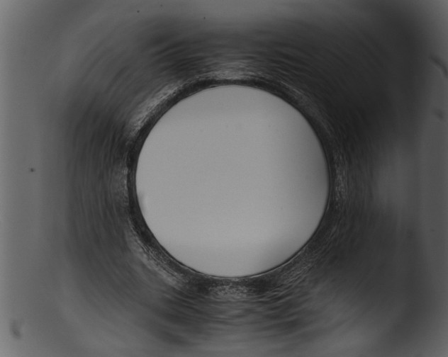 X0000103310535200809261339